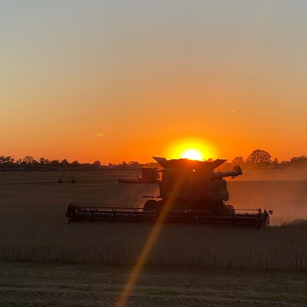 &quot;Farmers do not just work until the sun goes down, they work until the job is done.&quot; 
-Unknown

☀️👨&zwj;🌾🚜

&quot;The view from the field last night picking soy beans, sunset was filling up the hopper.&quot;
📷 Credit to John Hassle 

#f