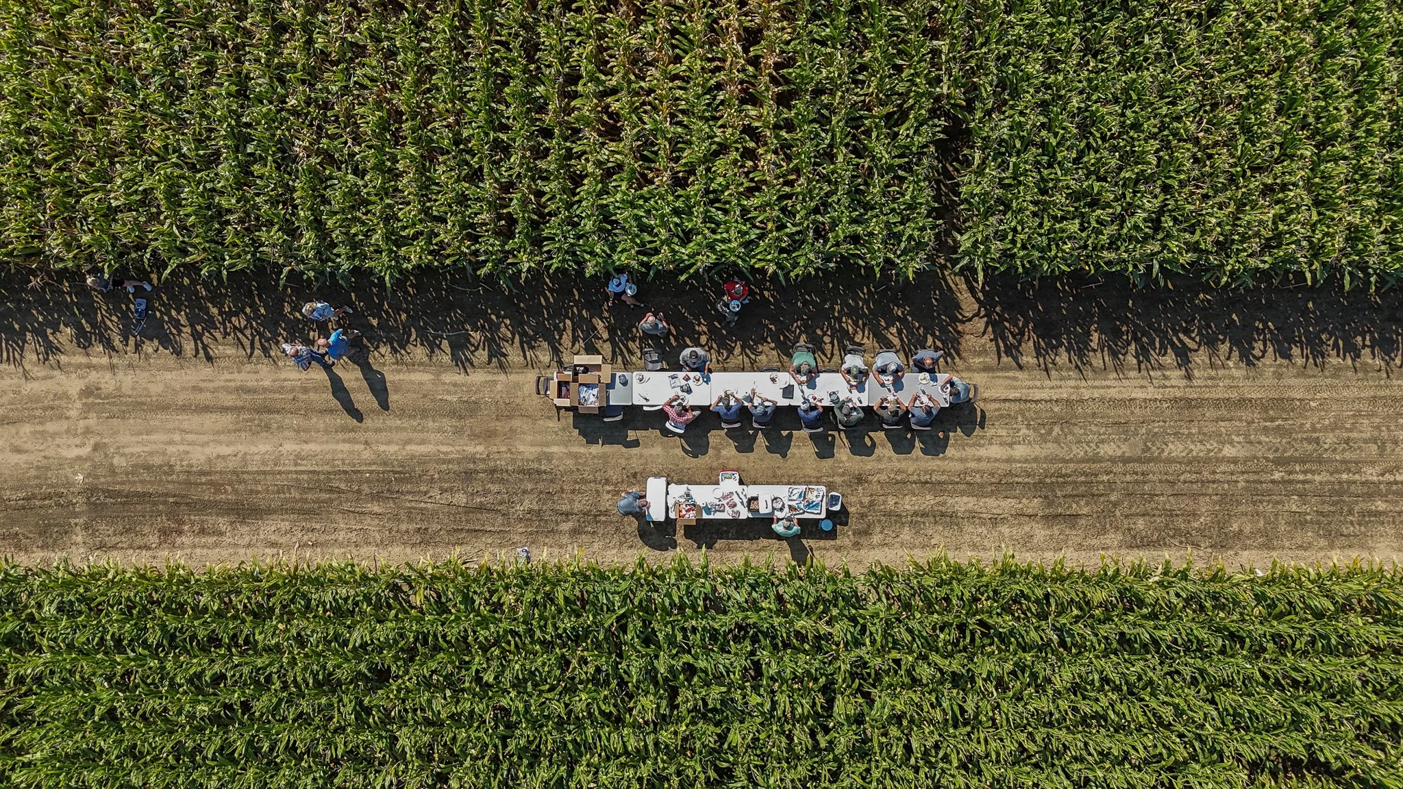Yesterday we kicked off harvest season with our annual plot lunch! A special tradition to celebrate the beginning of the season and to thank our hardworking team for the long hours ahead. Here&rsquo;s to another successful harvest! 🌽
