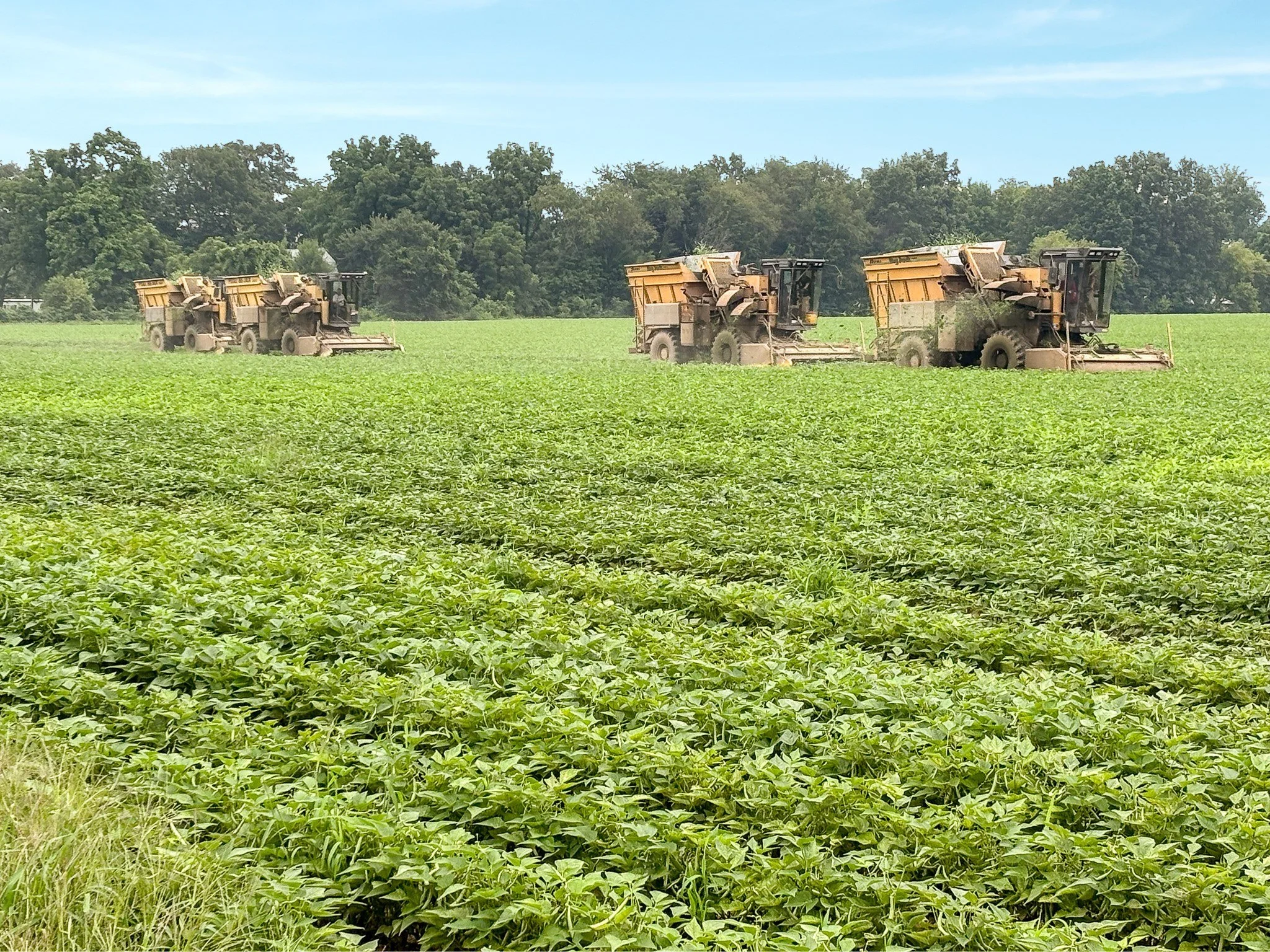 2026 Green Bean Harvest is officially underway! 🌱
A special thank you to our incredible team for their hard work, positive attitudes, and willingness to tackle the long days ahead. We appreciate the dedication you bring to the farm every day.
Here's