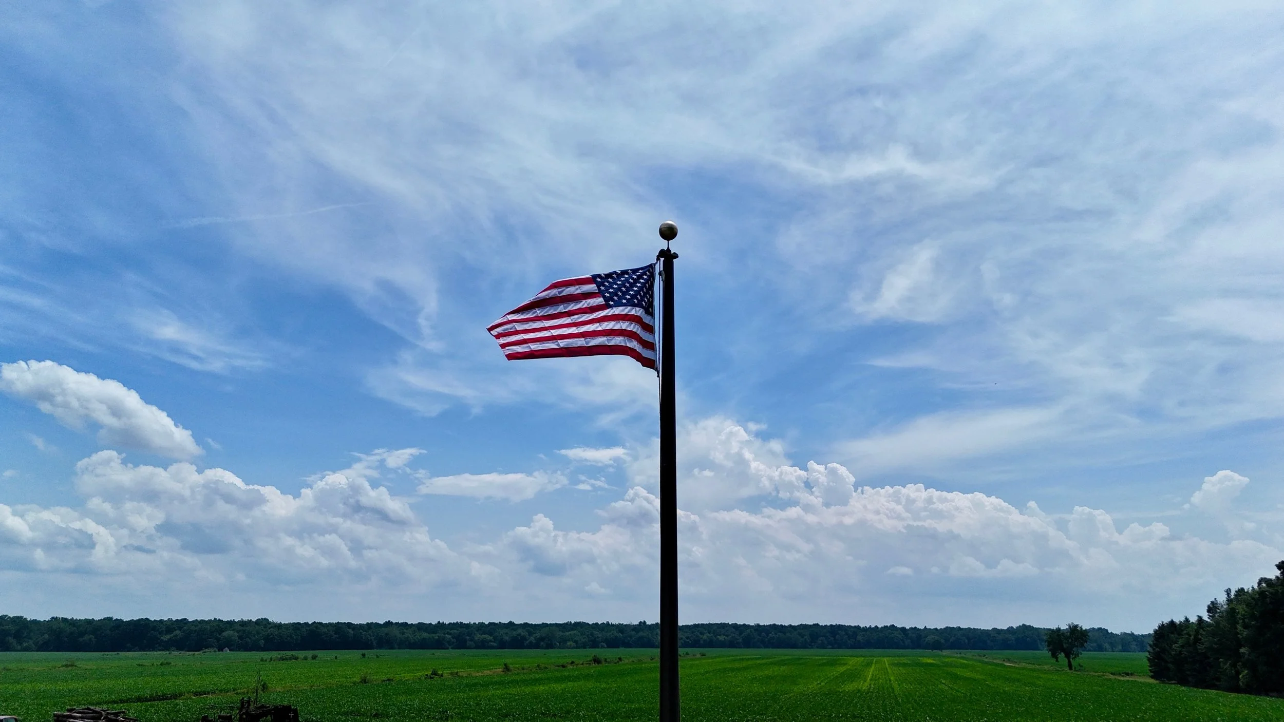 Happy Independence Day from all of us at Berrybrook! 🇺🇸

We&rsquo;re proud to live, farm, and raise our families in this great country. Today, we&rsquo;re especially thankful for the brave men and women who have served and continue to serve, protec
