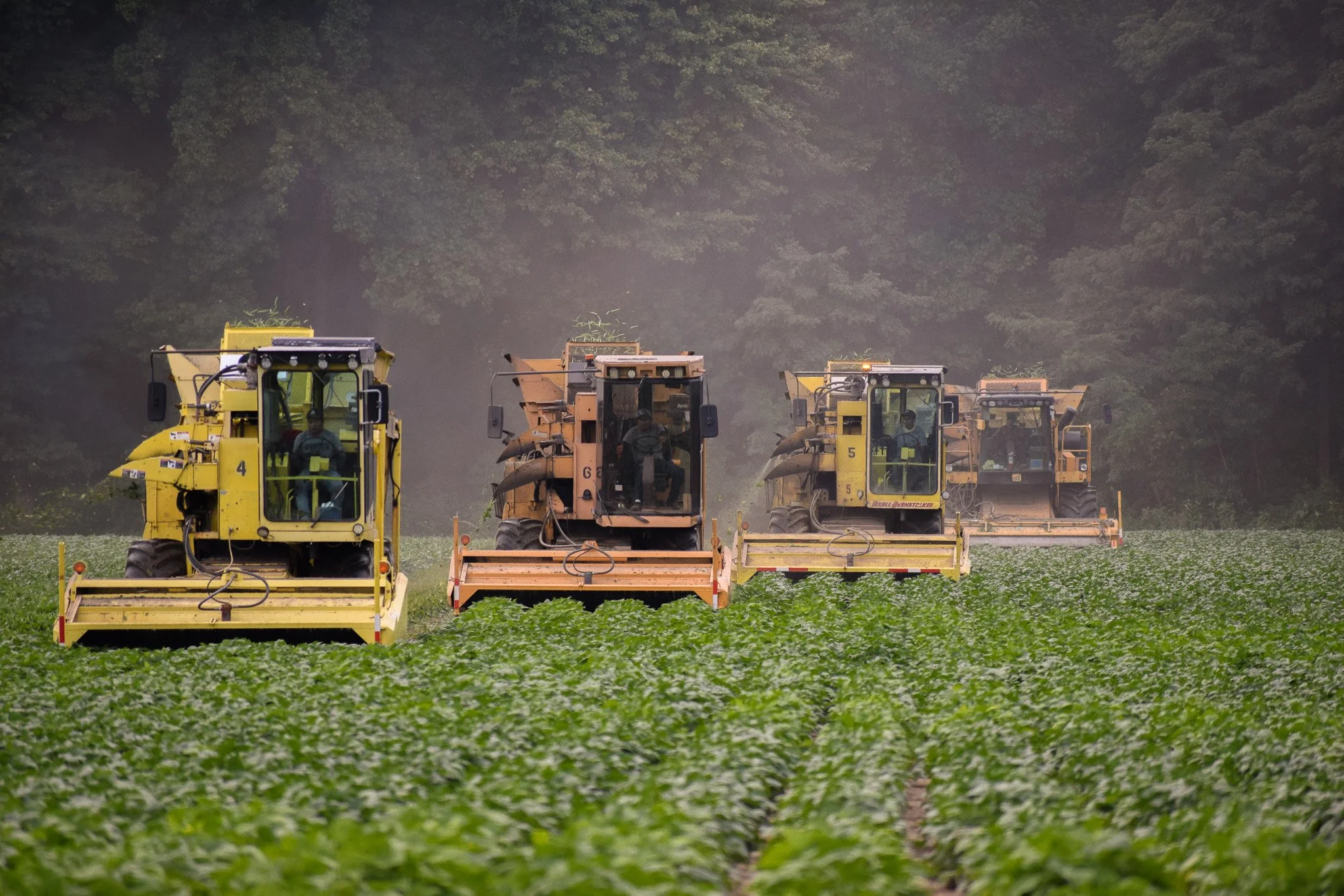 Good morning! ☀️ Or should we say&hellip; good night? 😴

A big shoutout to the crew that worked all night long last night to keep green bean harvest moving along! 🌱🚜

With four pickers running at a time, we&rsquo;re keeping things moving quickly a
