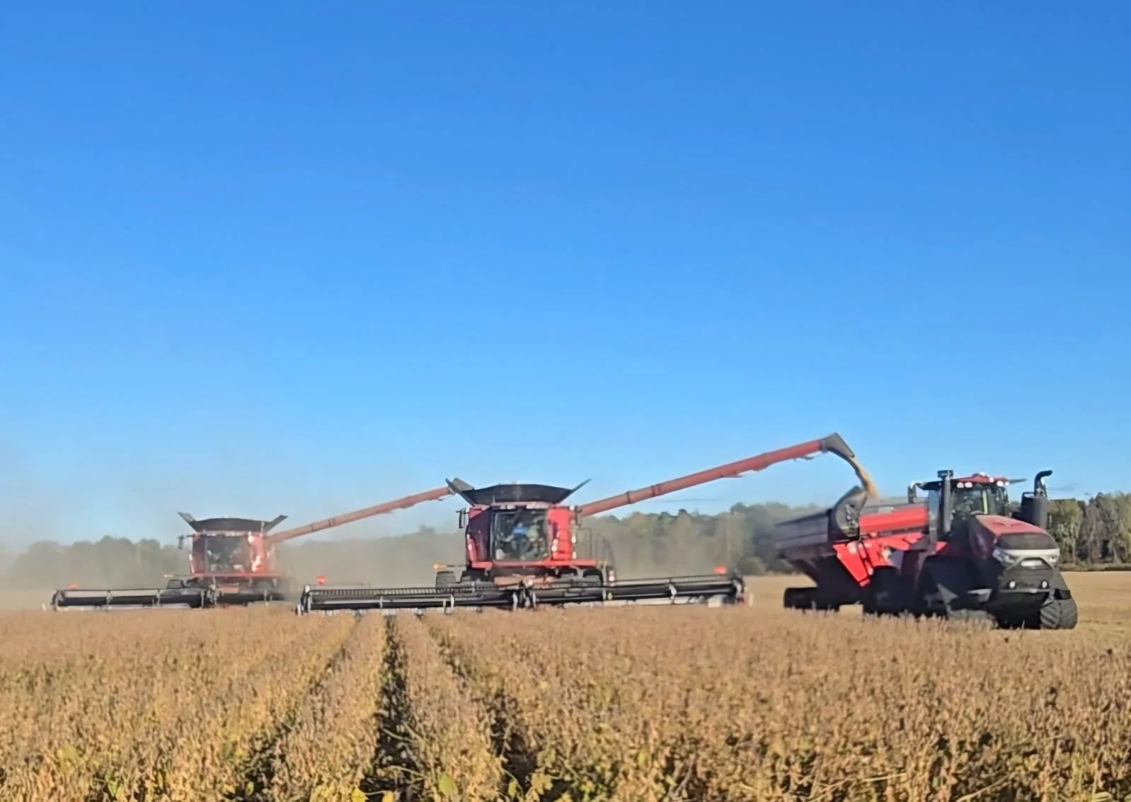 The combines are rolling and our soybean harvest has begun! Here's to our hard working team, good yields, and a safe harvest season at Berrybrook. 🫘

📷: John Hassle Sr