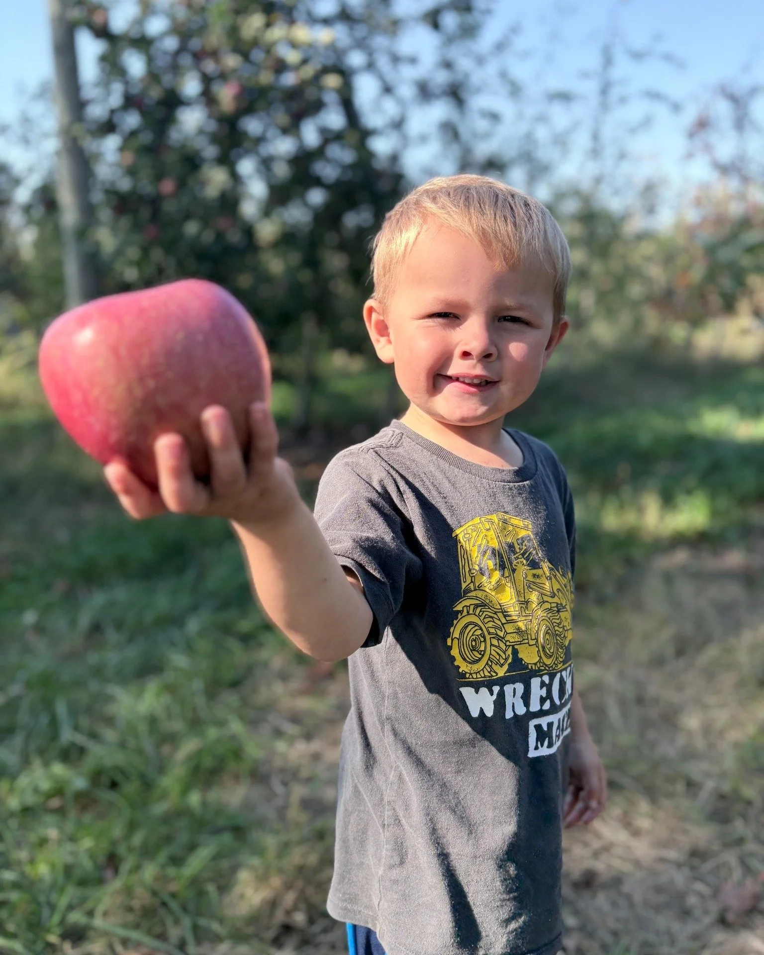 An apple a day, and a fourth generation on the way! 

Berrybrook Farms is built on generations of hard work, family, and a love for the land. Seeing Clayton holding an apple reminds us that the next generation is already part of our story. 🍎❤️

📷: 