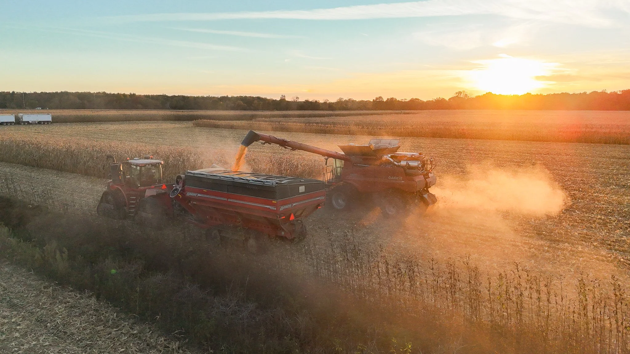 Golden grain and golden skies. 🌽🌅 
Another day of corn harvest at Berrybrook Farms!
