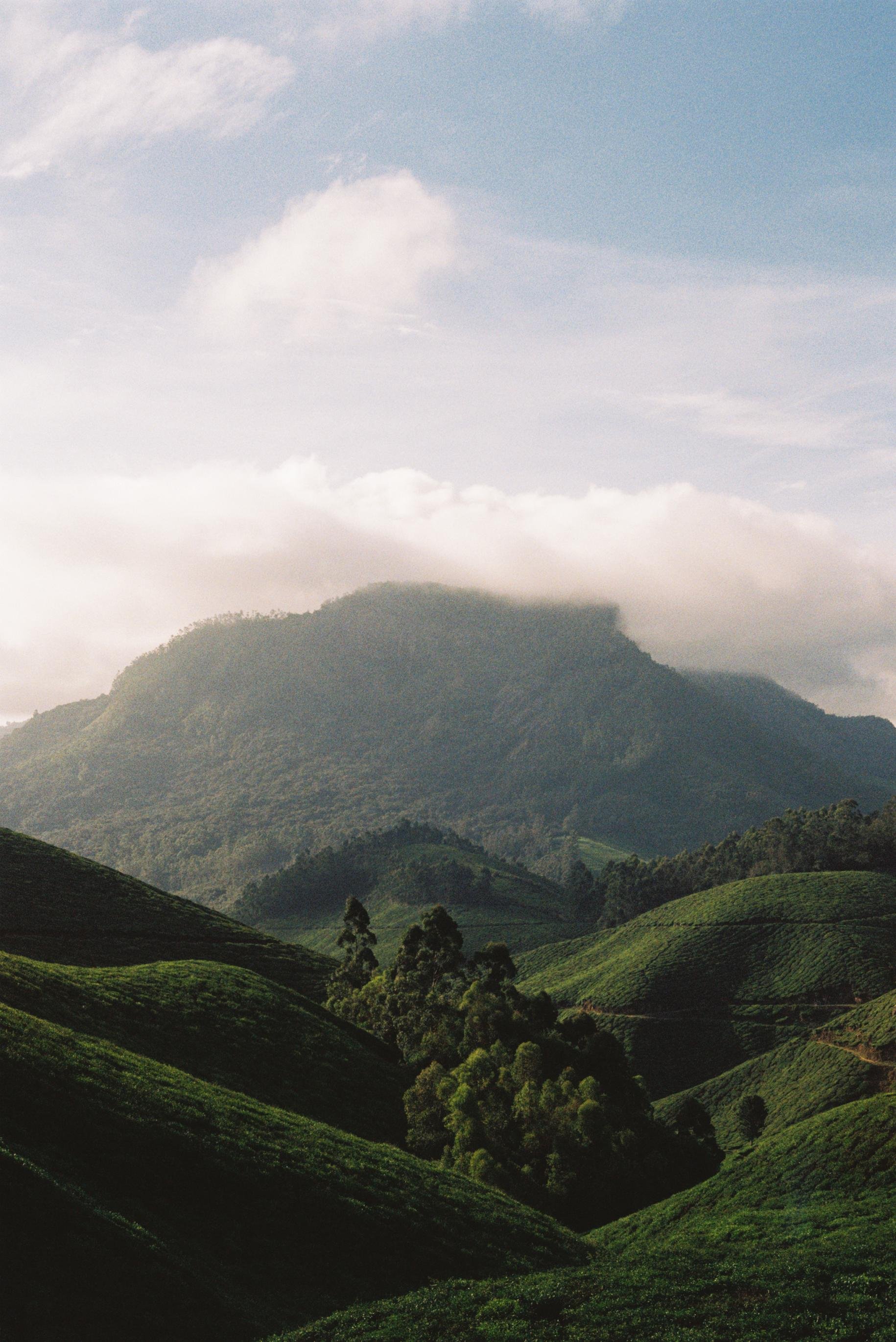 IMG3729-R01-025A.jpg