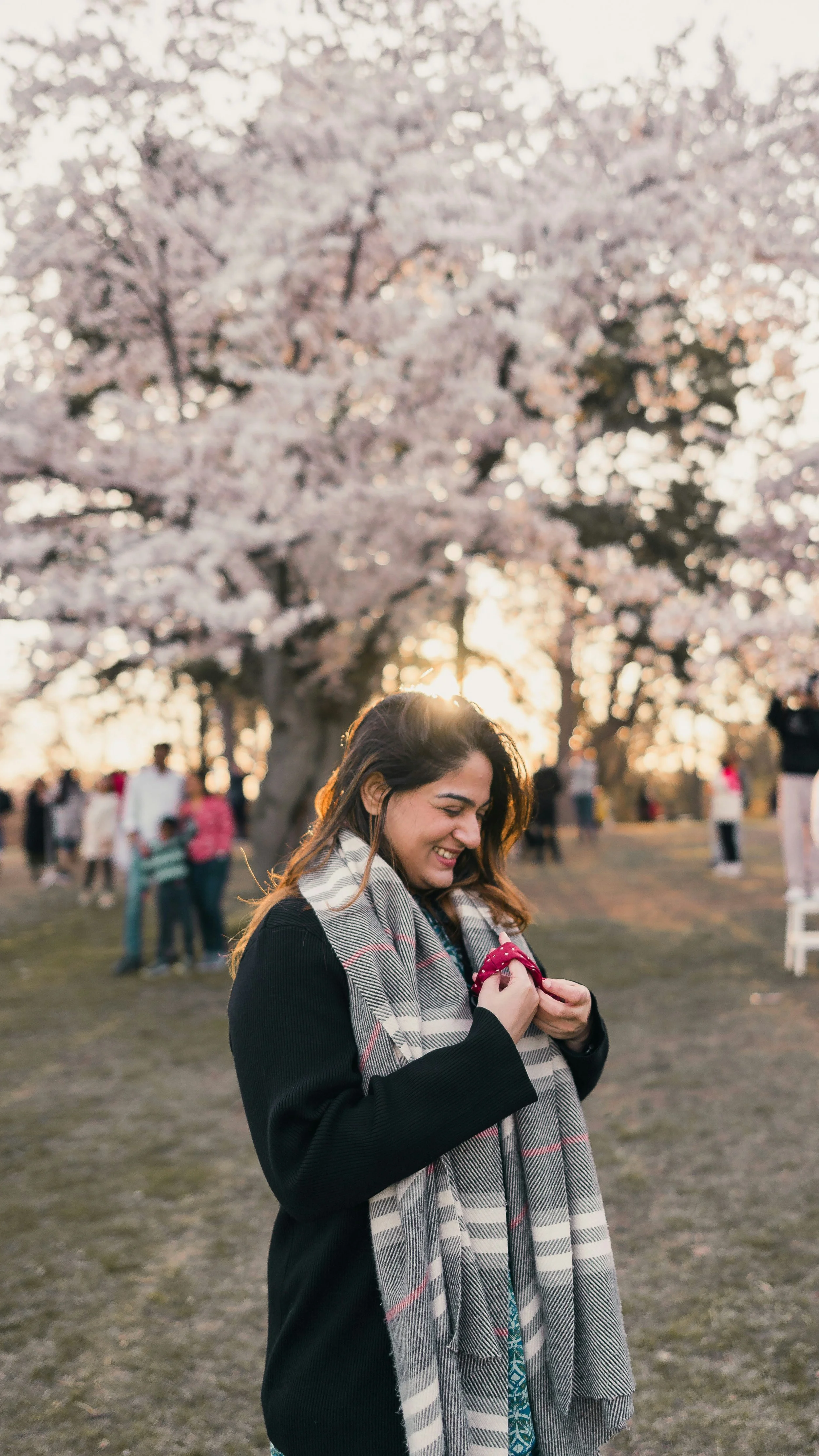 South Asian woman standing under cherry blossom trees in a park.