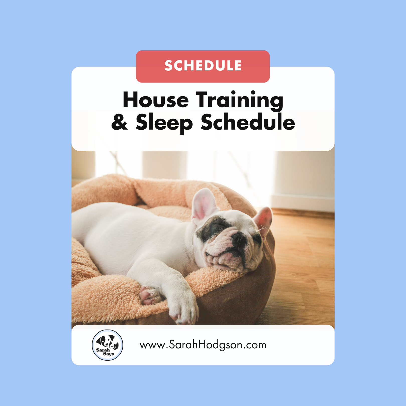 Free Downloads — Sarah Hodgson | Dog Training + Pet Behavior Consulting