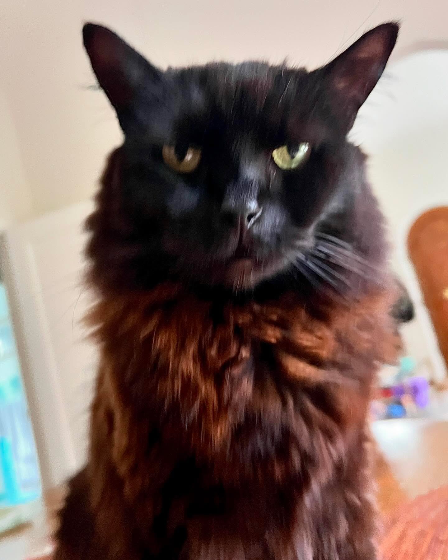 Freddie teaches the art of 
transmitting truth in silence