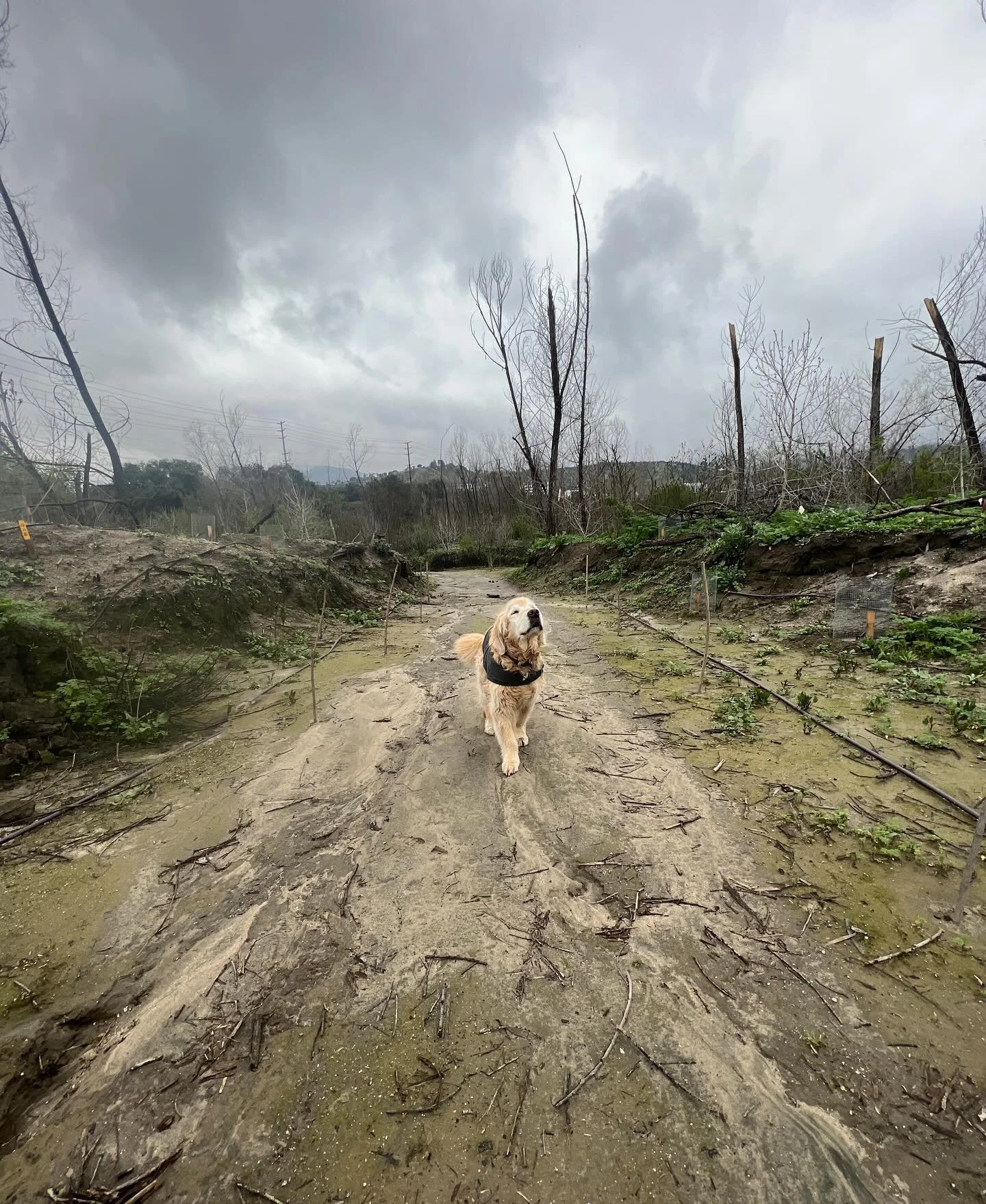 Oliver 
🤍♾️✨✨✨