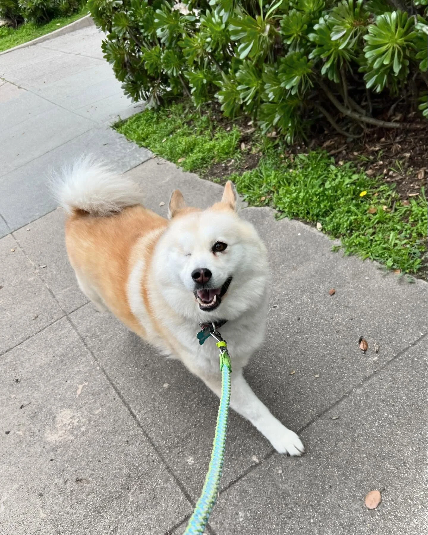 when the world smiles at you, 
Smile Back
-Lucy wisdom