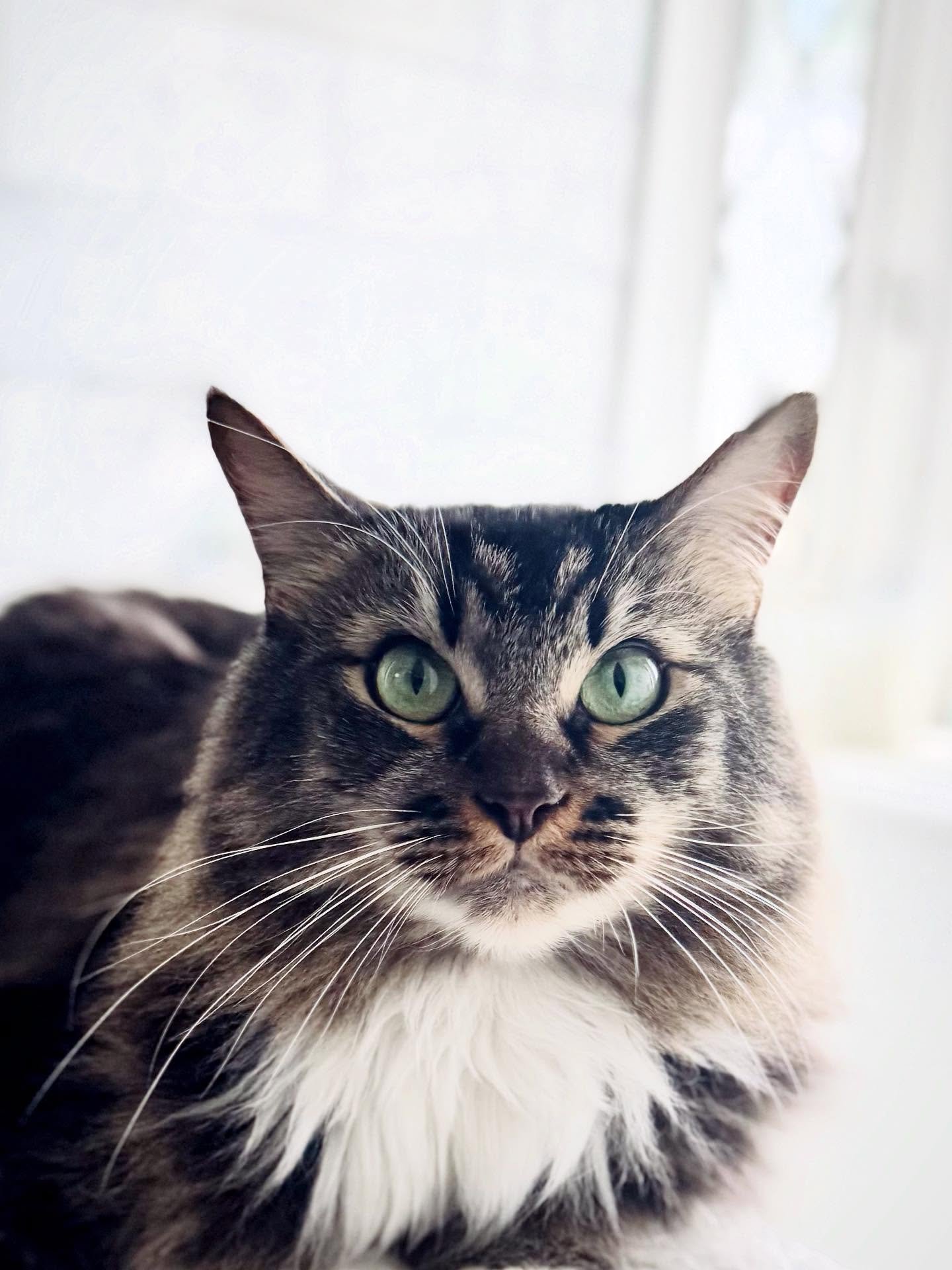 Jino&rsquo;s an extraordinary teacher 
of joy in the present moment