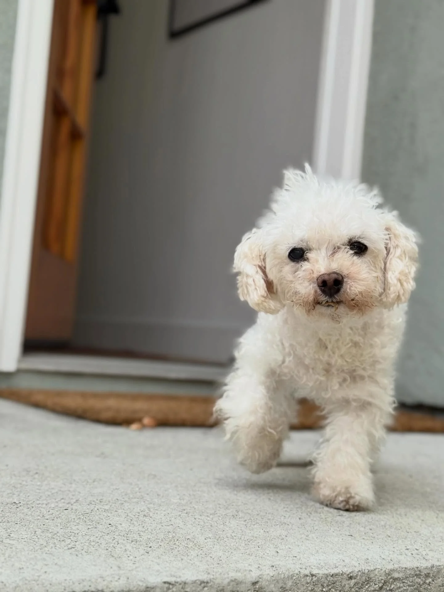 Spike

no hesitation
no apology

little storm
of sweet
and fierce