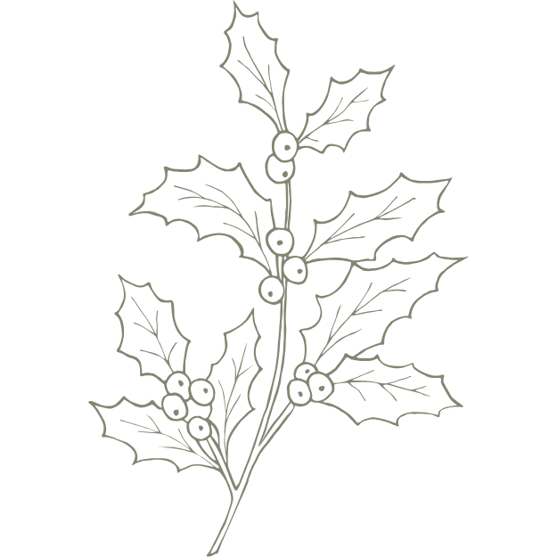 Line drawing of holly leaves and berries on a black background.