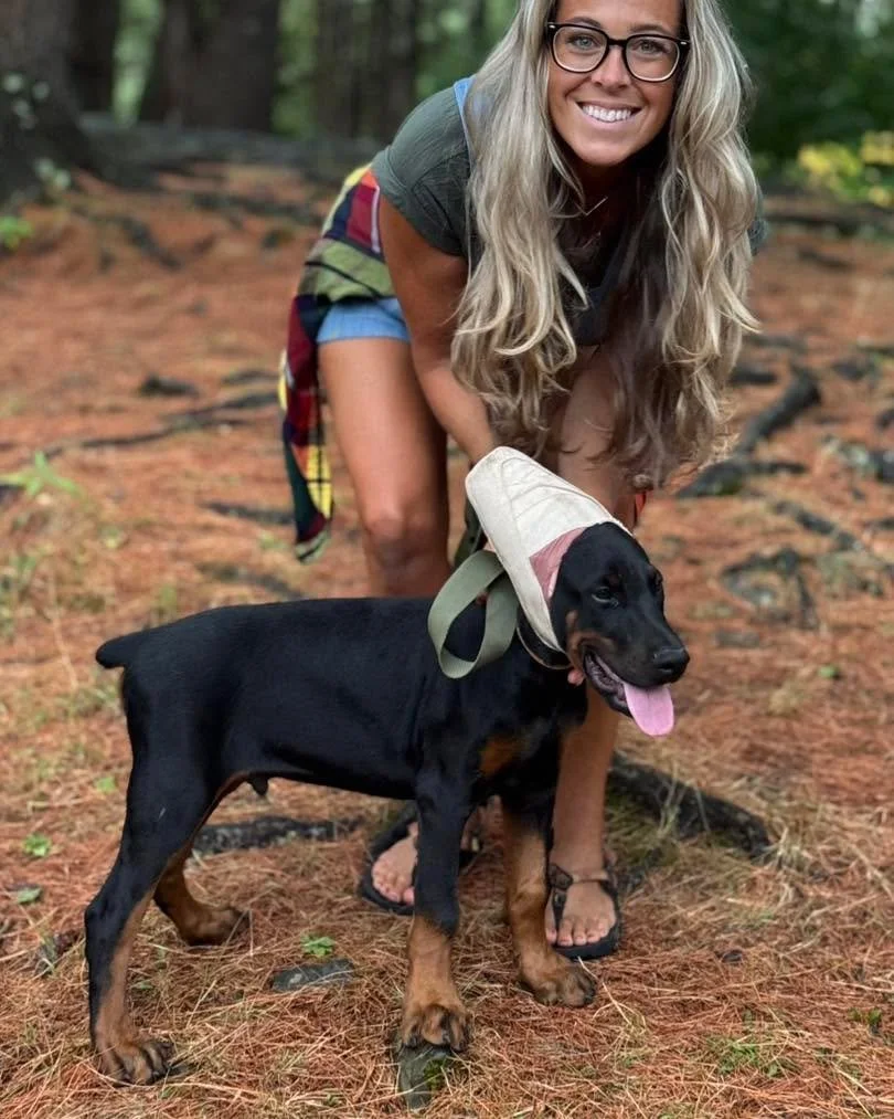 ✨ The Doberman Pinscher ✨
With their regal appearance, unmatched intelligence, and loyal hearts, Dobermans are truly one of the most remarkable breeds in the world.

At Maine Dobermans, we are passionate about breeding with purpose &mdash; focusing o