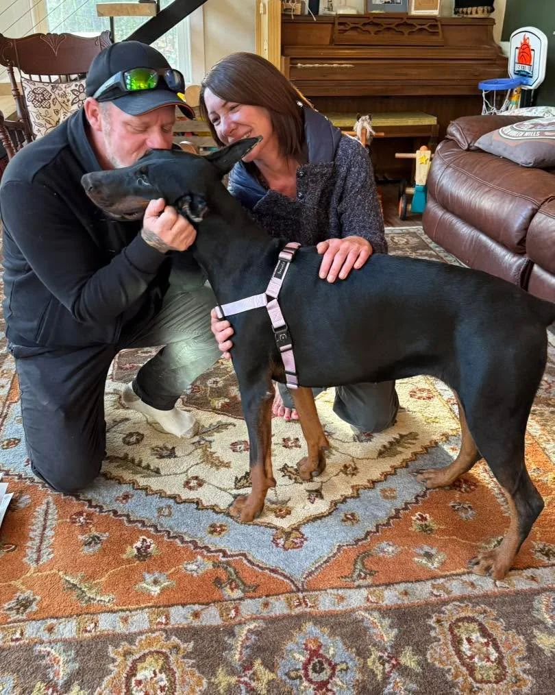 After going through many great applications we found Athena the perfect family where she is so loved, and gets to play with her new pack Including a German Shepherd, golden retriever, and a Frenchie. We are so happy for her! She will be missed around