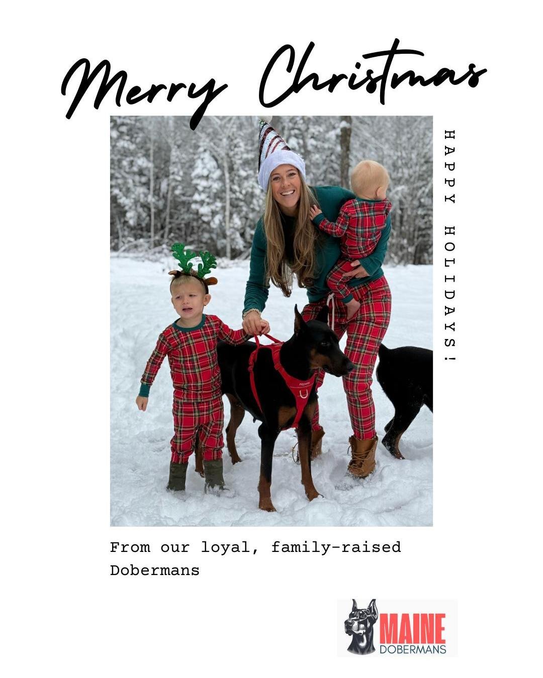 Merry Christmas from Maine Dobermans.

Thanks to everyone who supported us this year and welcomed one of our dogs into their home. We appreciate the trust and the relationships that come with this work.