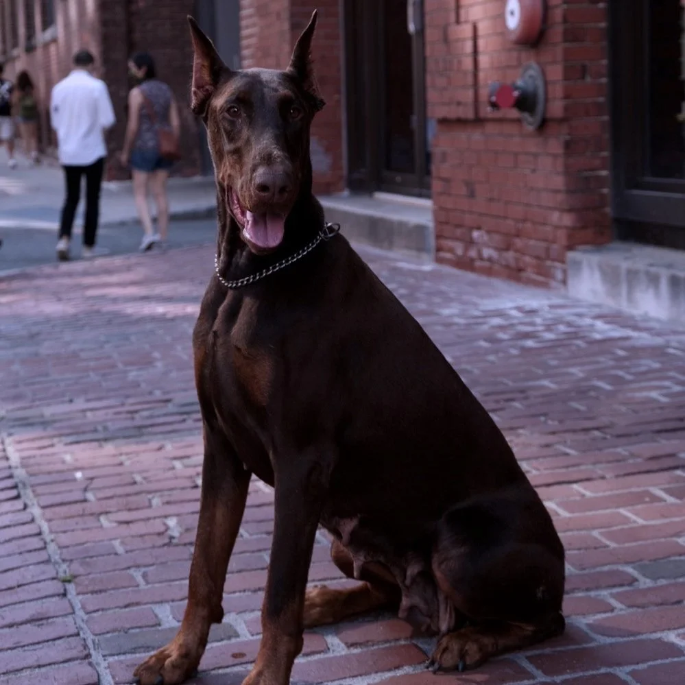 445B7A0E-D5D1-435D-8F7D-290C31213EEA-5544-000002C7059B0A09.jpg