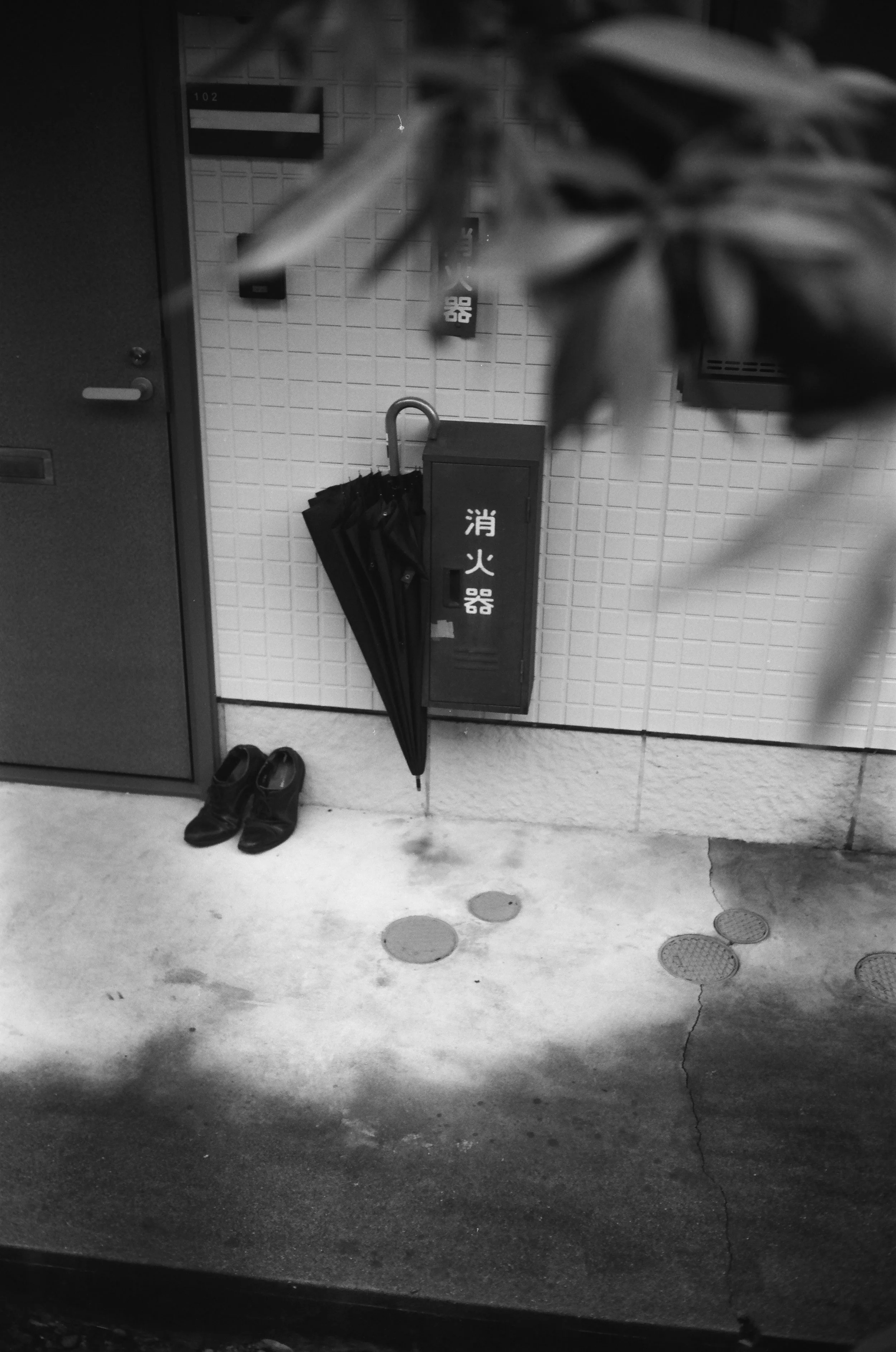 0019_20A.jpg