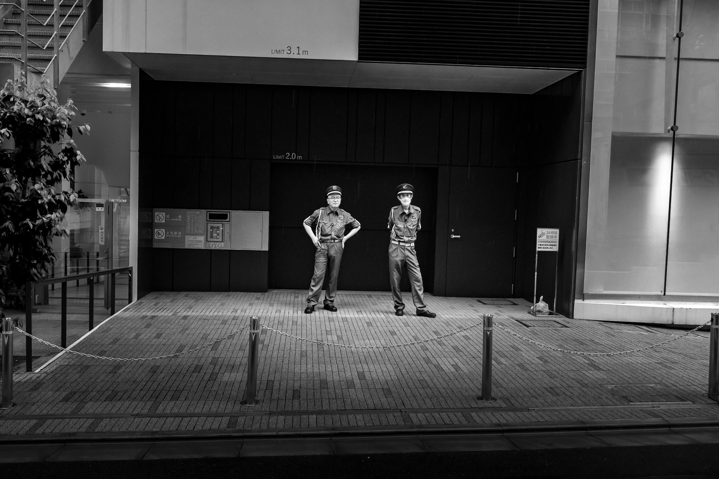 DSC09352-Enhanced-NR.jpg