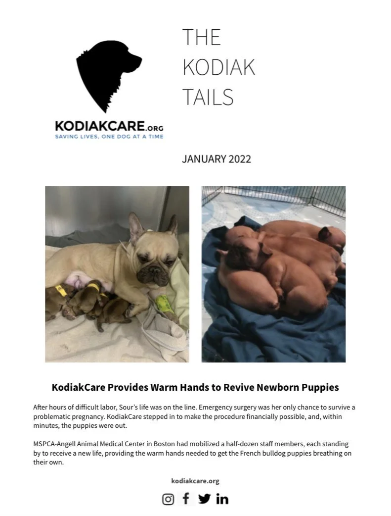 KodiakCare Provides Warm Hands to Revive Newborn Puppies