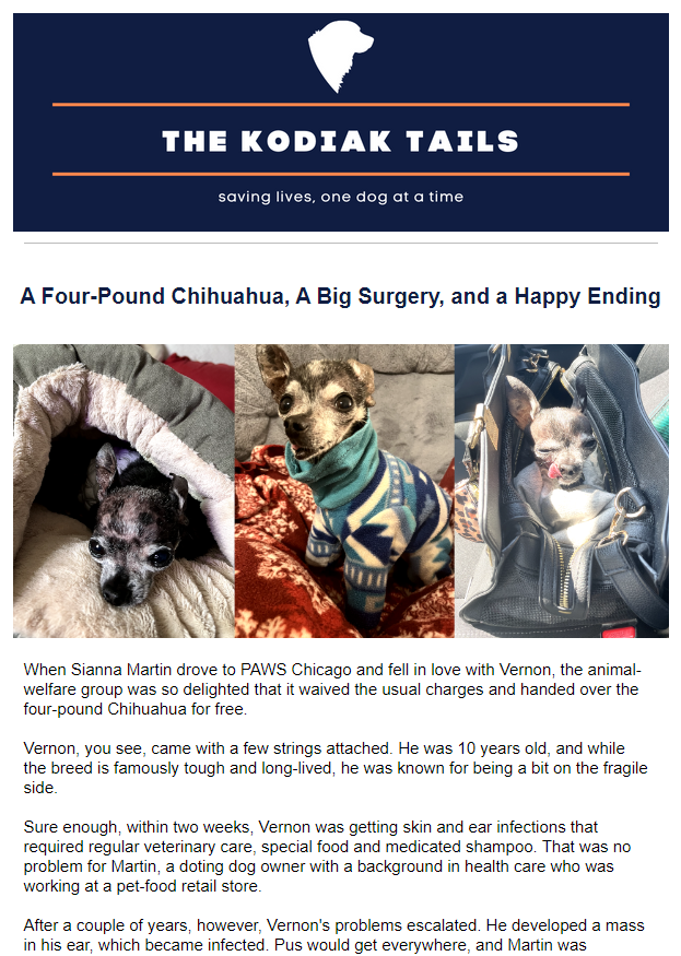 A Four-Pound Chihuahua, A Big Surgery, and a Happy Ending   : The Kodiak Tails 1.2023