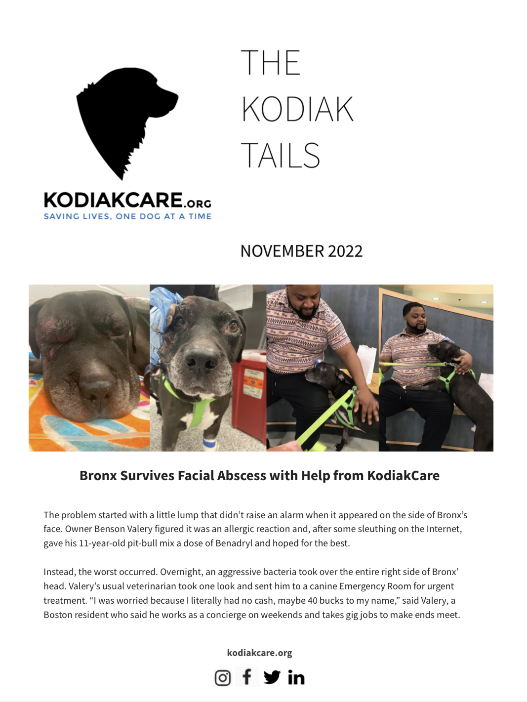 Bronx Survives Facial Abscess with Help from KodiakCare: The Kodiak Tails 11.2022