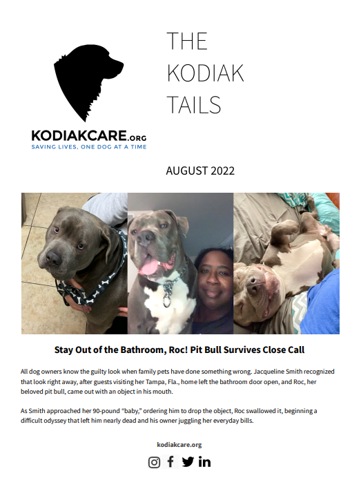 KodiakCare Newsletter August 2022-Pit Bull Survives Close Call