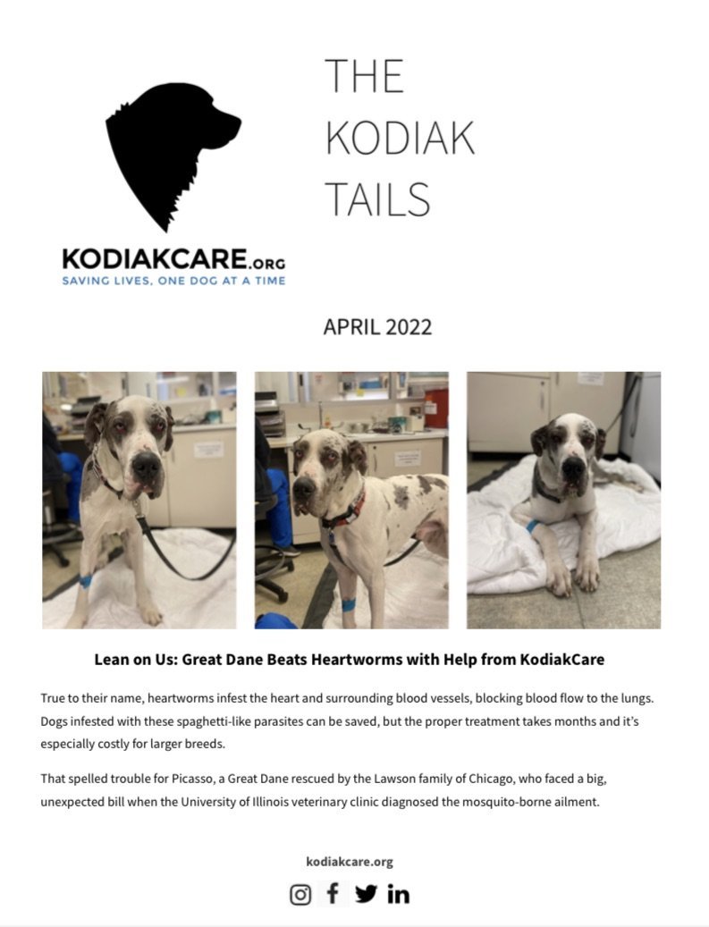 KodiakCare Newsletter April 2022-Mutt Madness Champion and Picasso's story