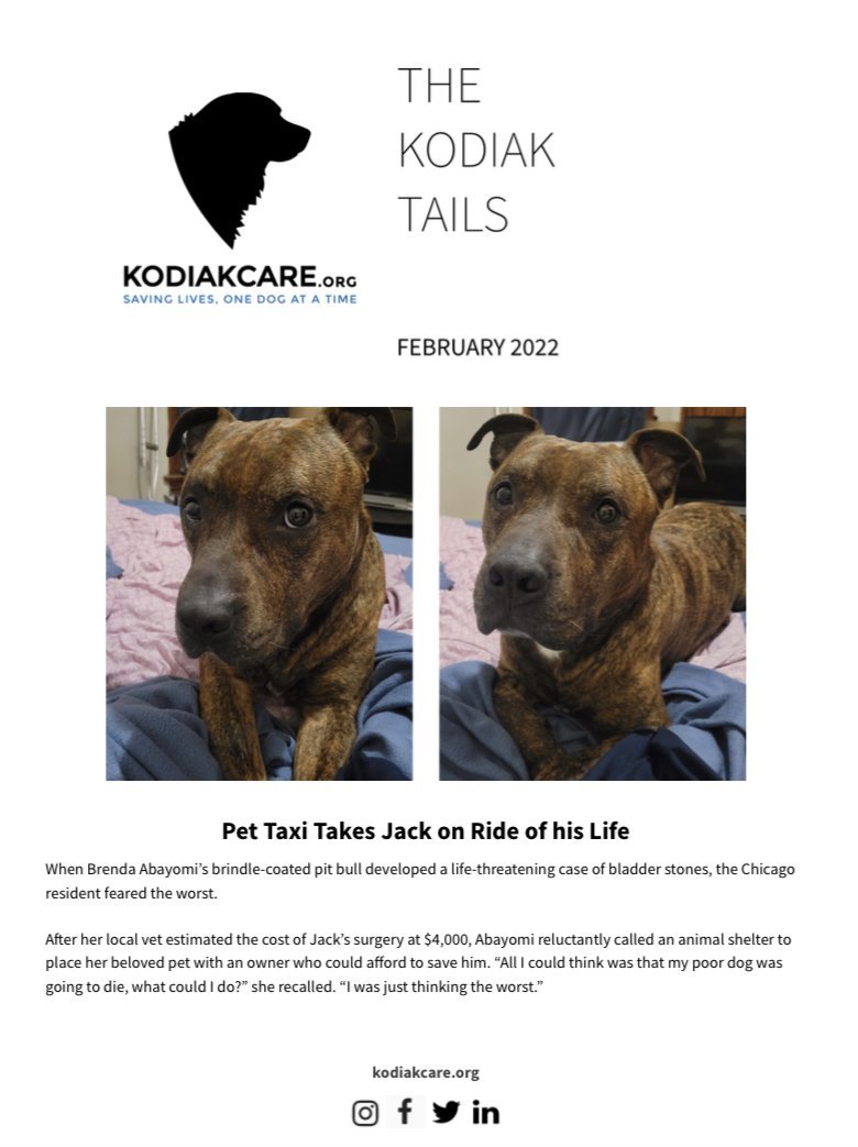 Pet Taxi Takes Jack on Ride of his Life: The KodiakTails 2.2022