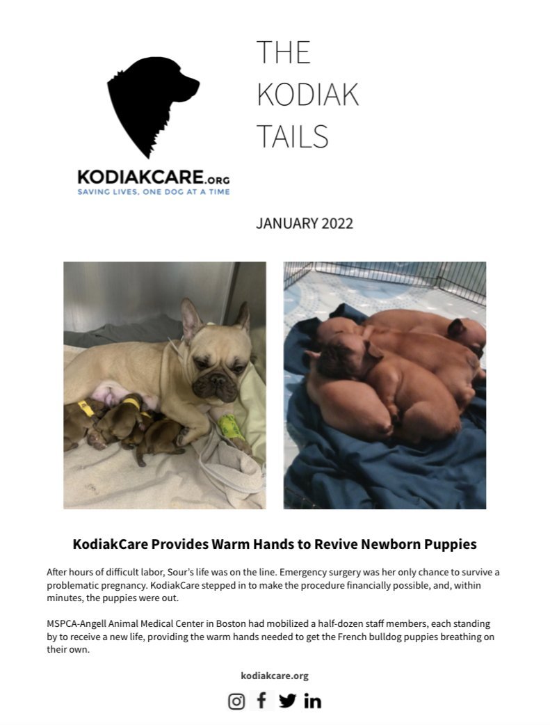 KodiakCare Provides Warm Hands to Revive Newborn Puppies: The Kodiak Tails 1.22