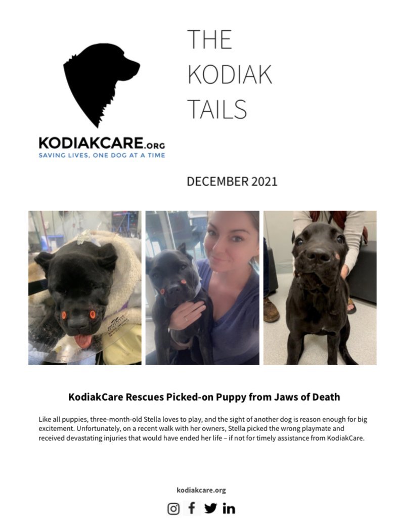 KodiakCare Rescues Picked-on Puppy from Jaws of Death The KodiakTails 12.21
