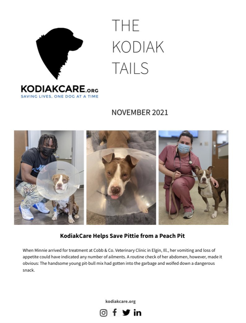 KodiakCare Helps Save Pittie from a Peach Pit: The KodiakTails 11.2021
