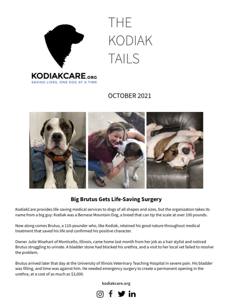 Big Brutus Gets Life-Saving Surgery: The KodiakTails 10.2021