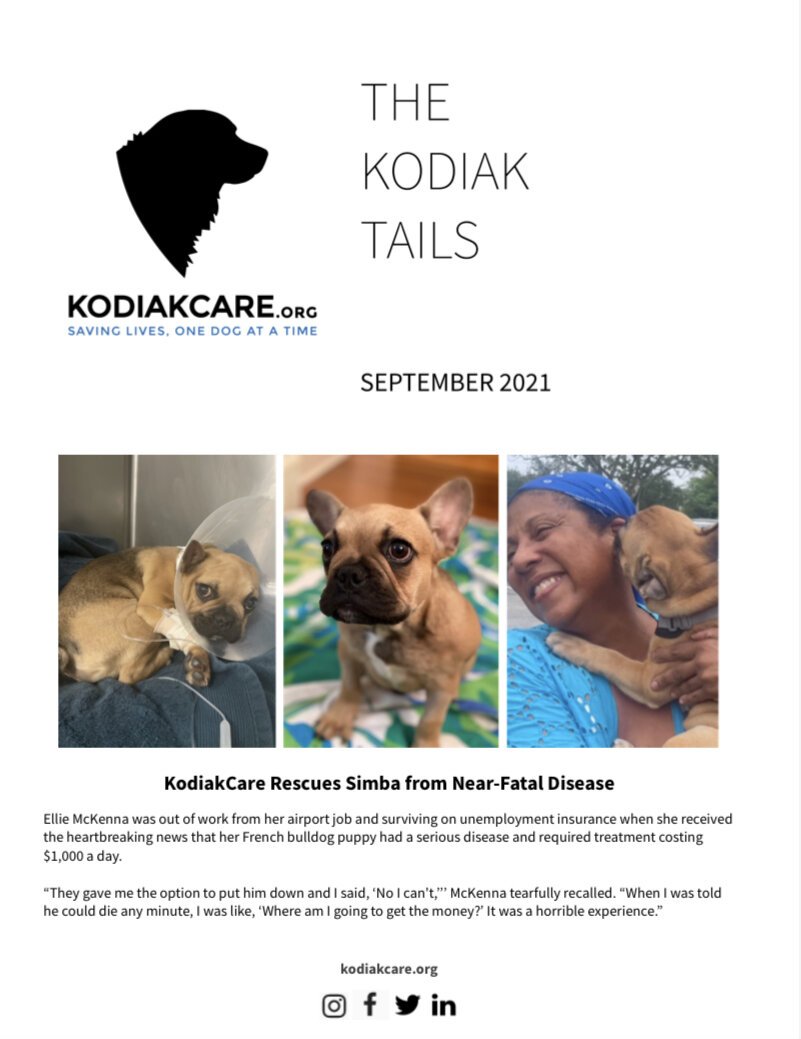 KodiakCare Rescues Simba from Near-Fatal Disease- The KodiakTails: 9.2021