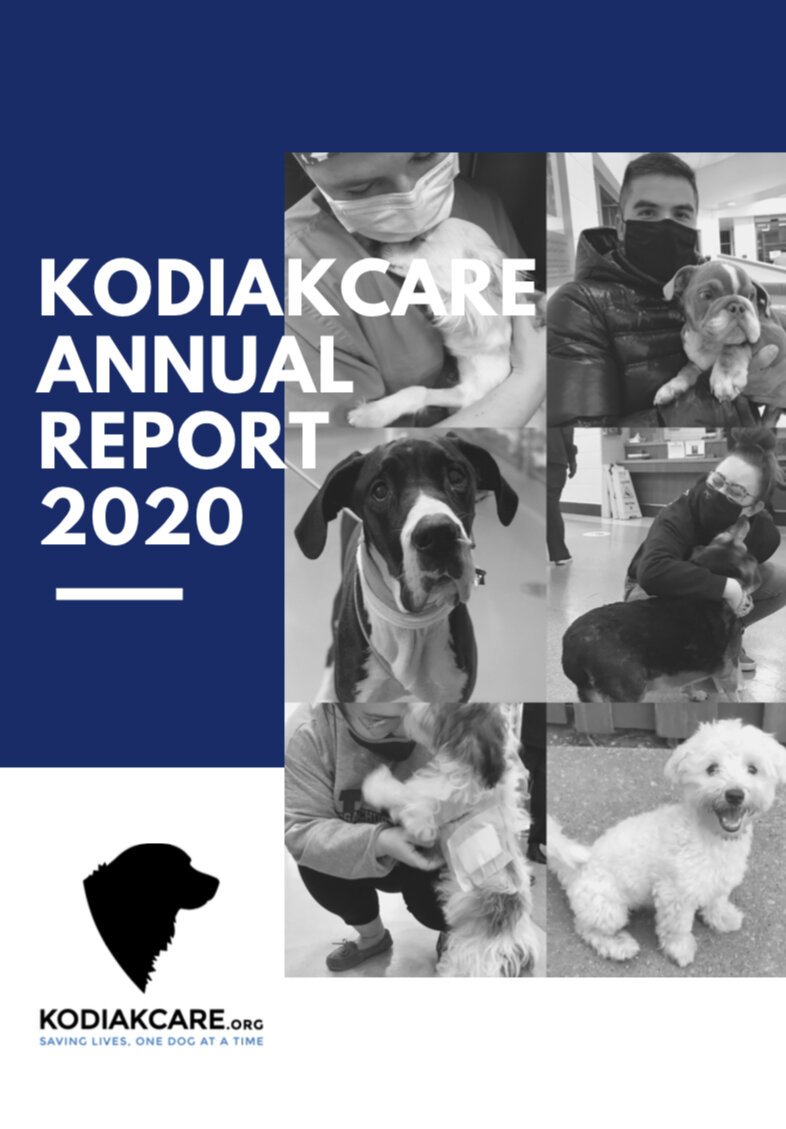 KodiakCare Annual Report 2020