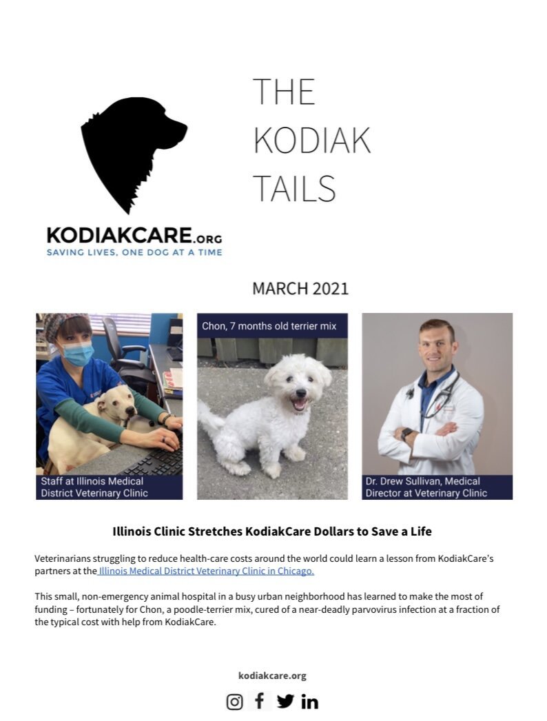KodiakCare helps Chicago clinic get creative + Mutt Madness in 1 wk!- The KodiakTails-3.2021