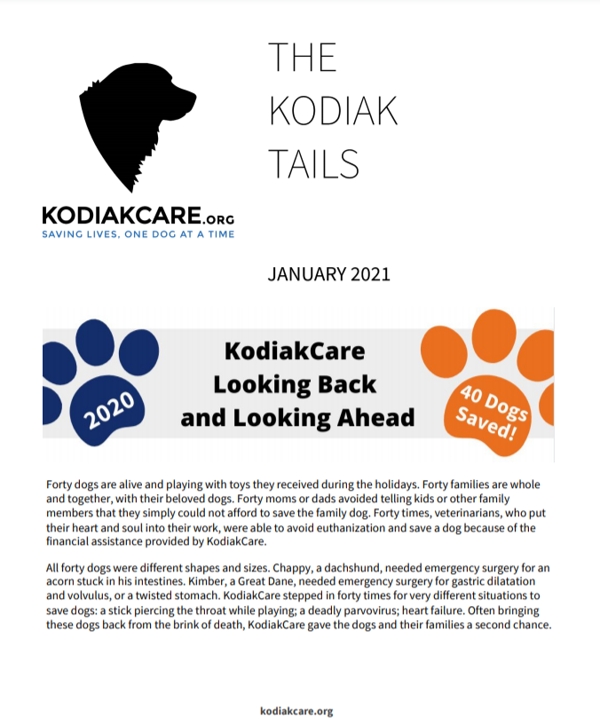 KodiakCare makes a Big Impact in 2020-The KodiakTails 1.21