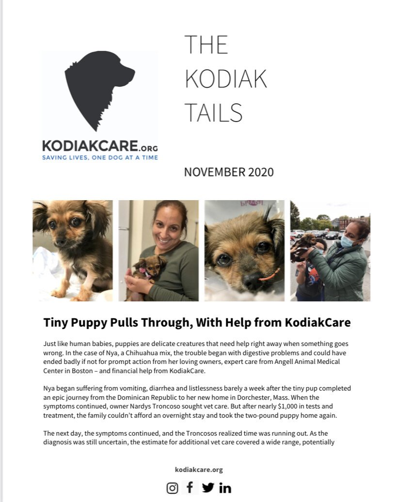 Tiny Puppy Pulls Through, With Help from KodiakCare. The Kodiak Tails 11.2020