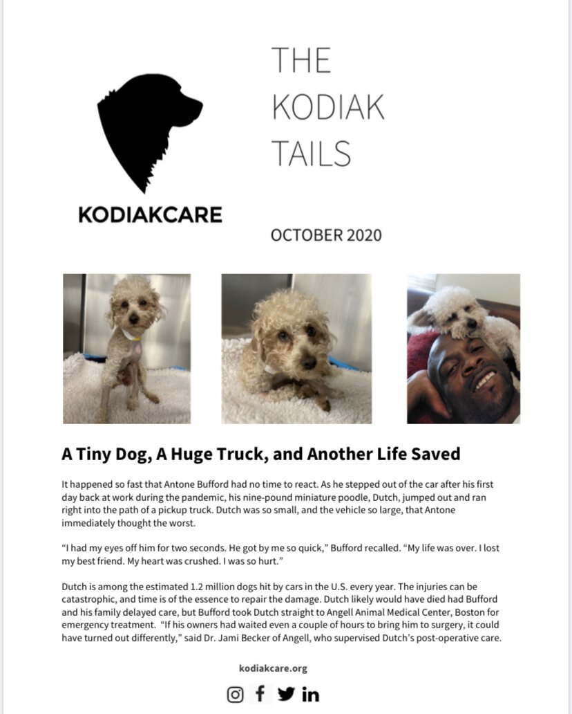 A Tiny Dog, A Huge Truck, Another Life Saved. 10.20 KodiakCare Newsletter