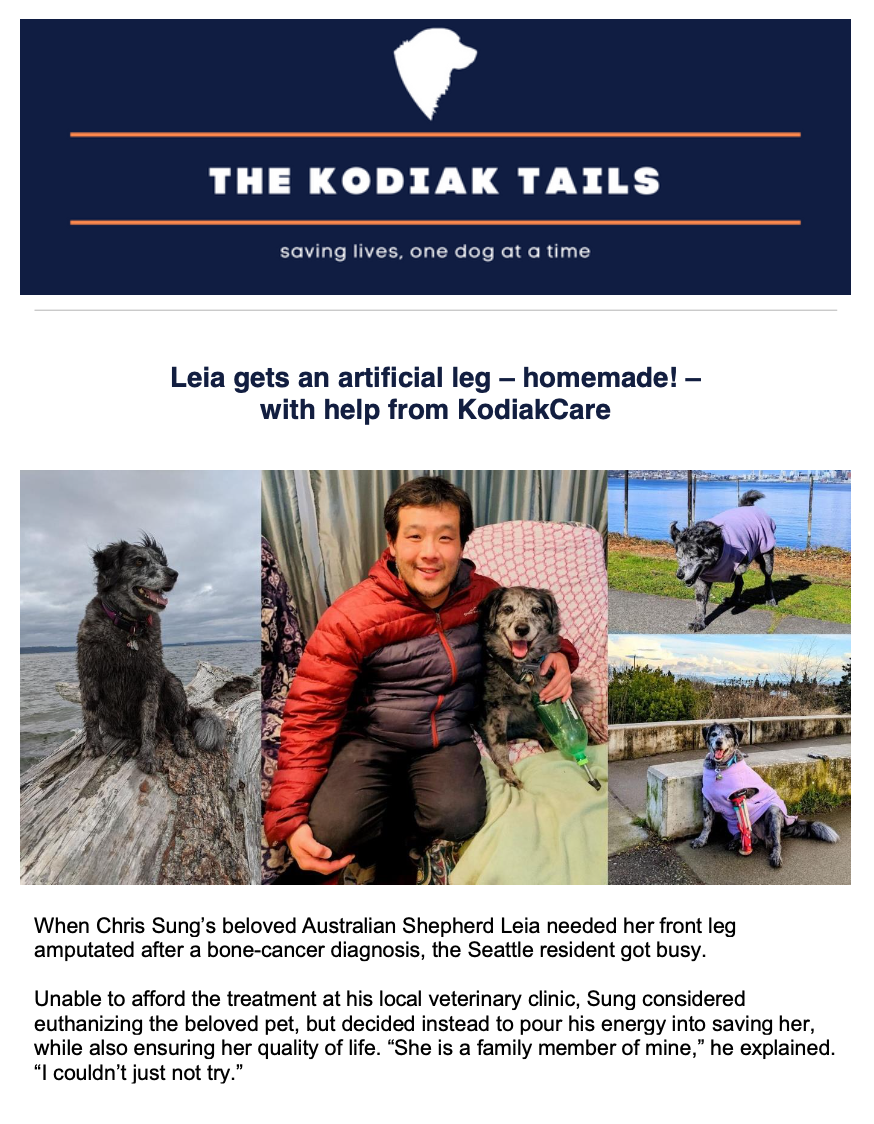 Leia gets an artificial leg – homemade! – with help from KodiakCare