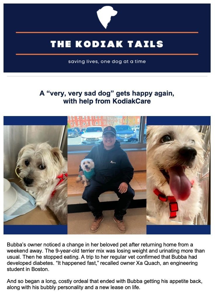 A “very, very sad dog” gets happy again, with help from KodiakCare