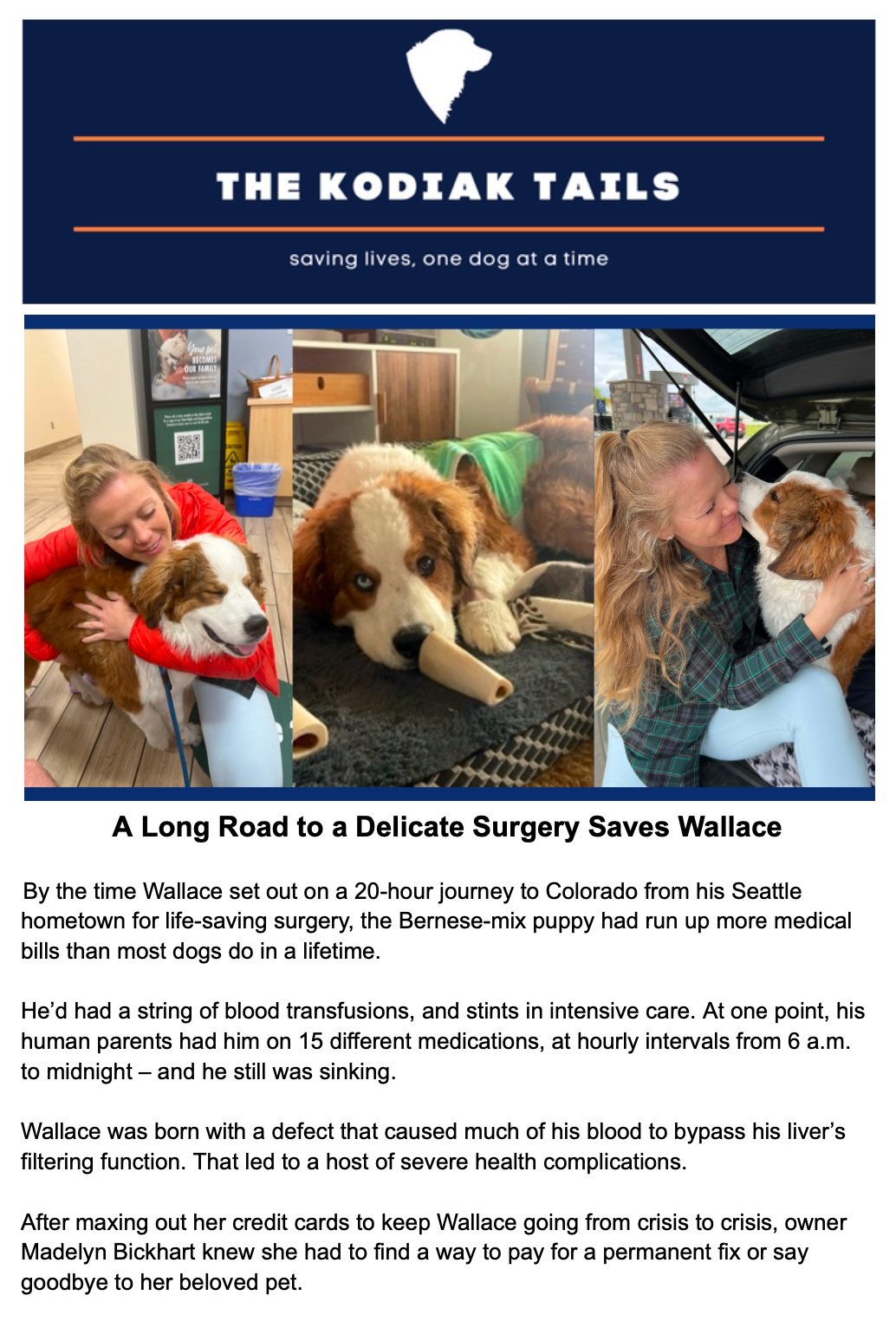 A Long Road to a Delicate Surgery Saves Wallace