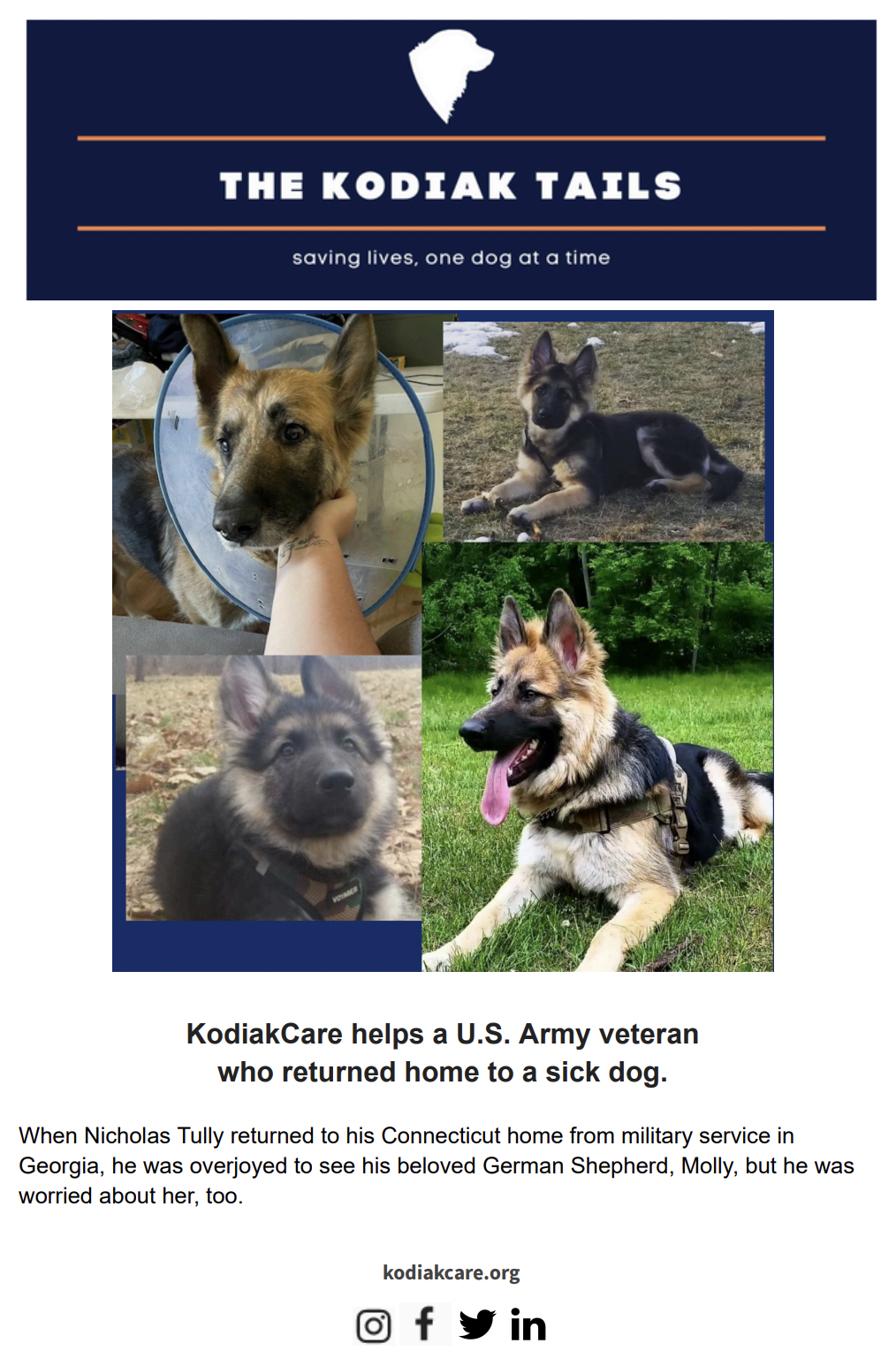KodiakCare helps a U.S. Army veteran who returned home to a sick dog
