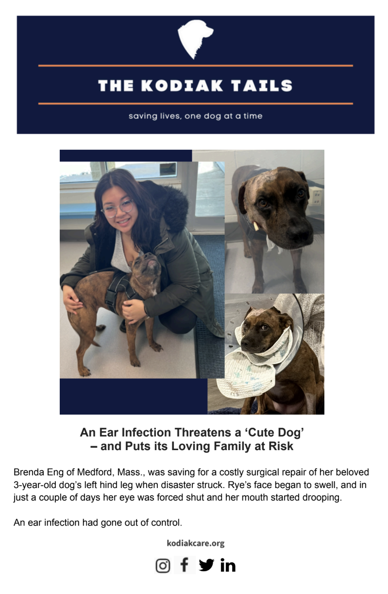 An Ear Infection Threatens a ‘Cute Dog’ – and Puts its Loving Family at Risk