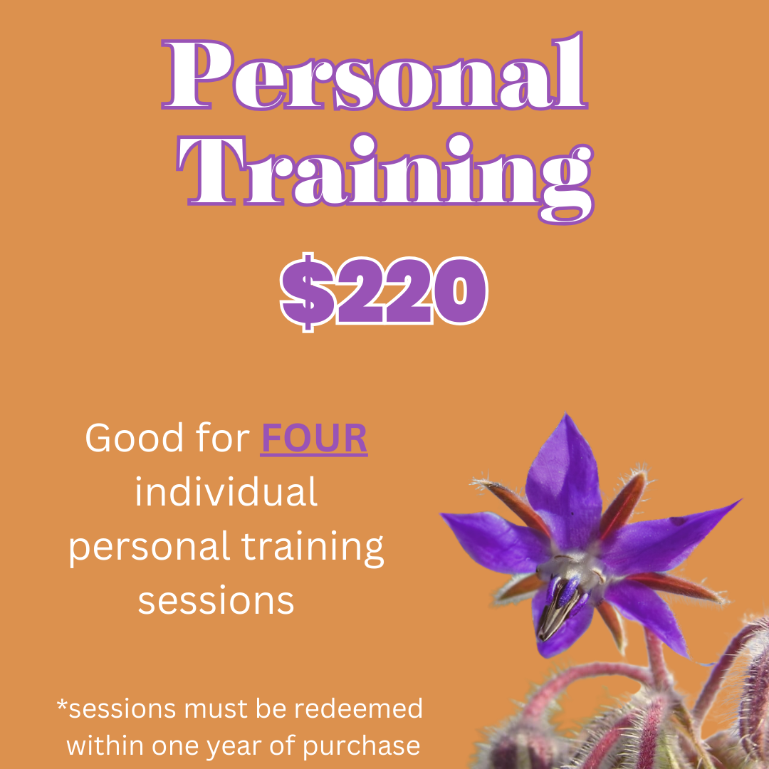 Package Options — Your Best Day Ever