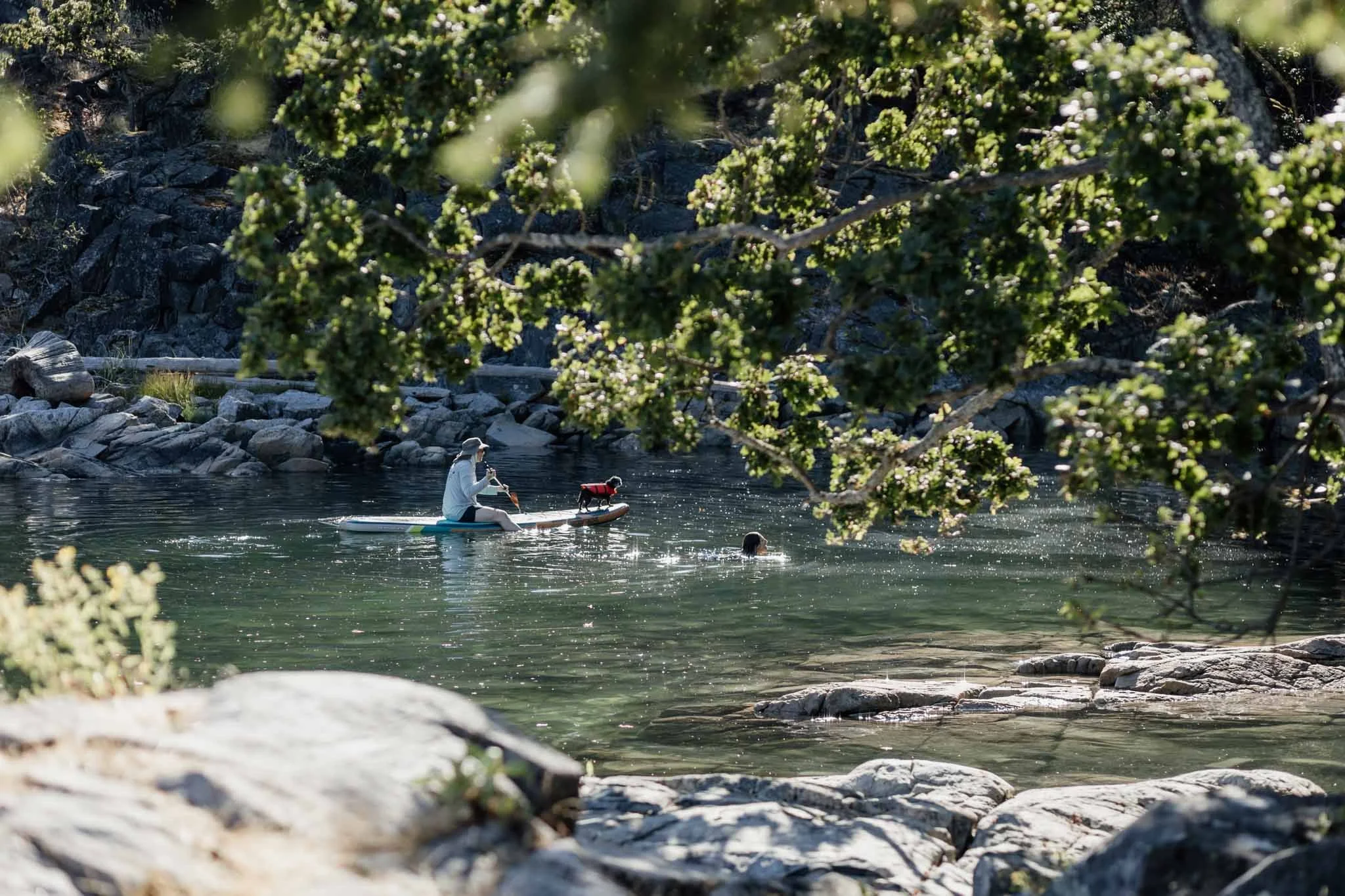 A paddleboarding family portrait in Nanaimo