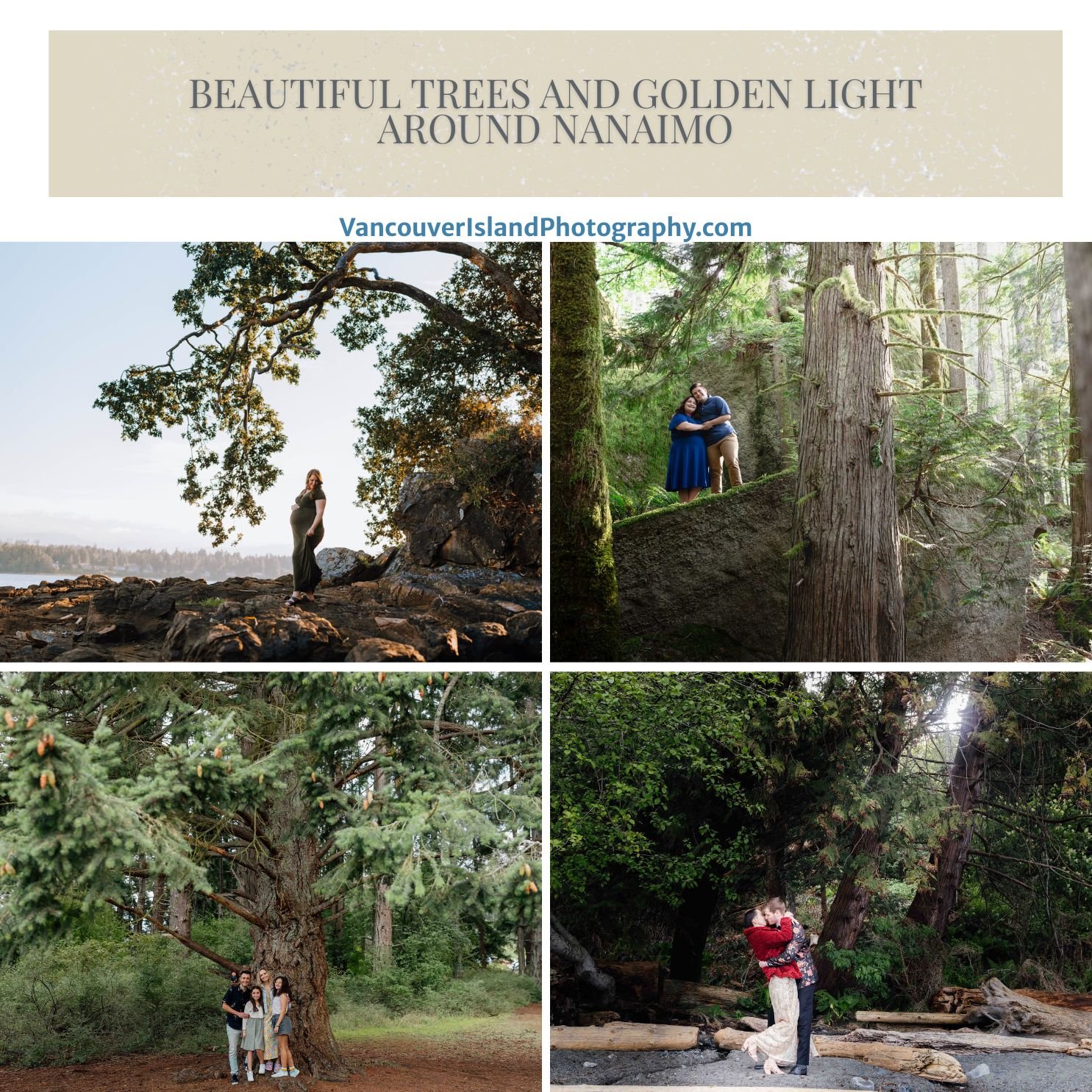 A collage of scenery showing beautiful trees in Nanaimo for family portraits