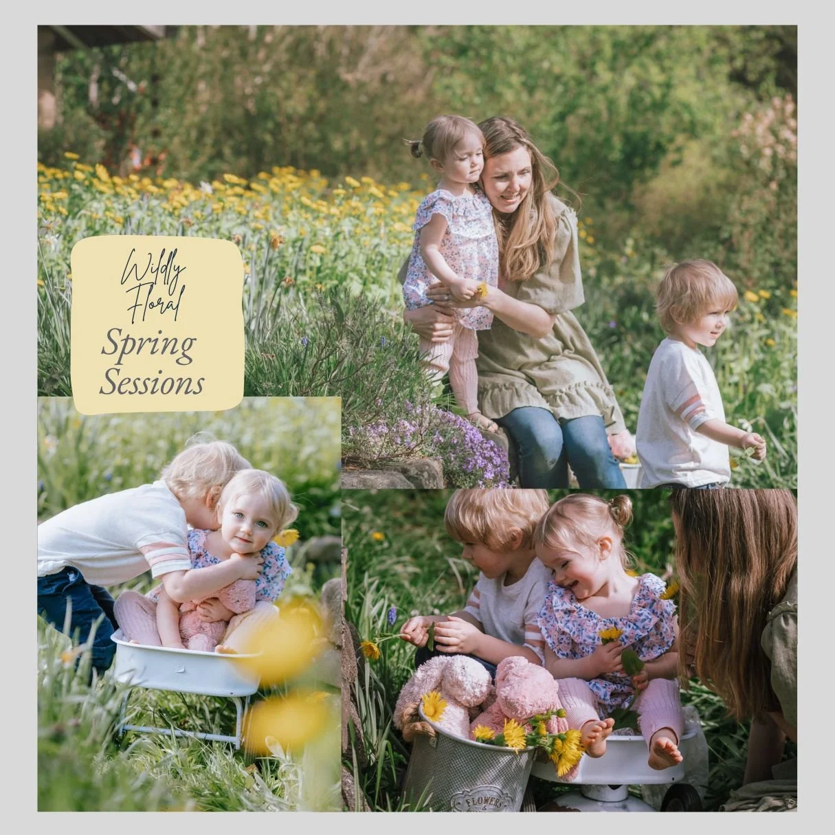A collage of mom and kids posing in the wildflowers for family photos in Nanaimo