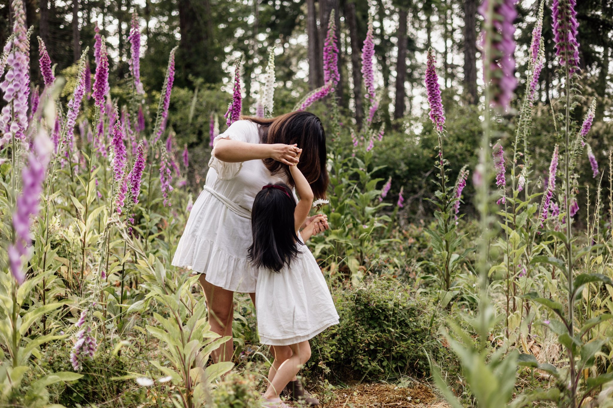 Wildflower family photos in Nanaimo