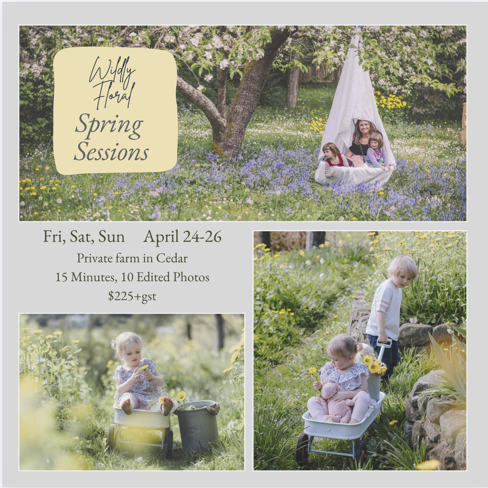 Spring Flower Mini Session Nanaimo